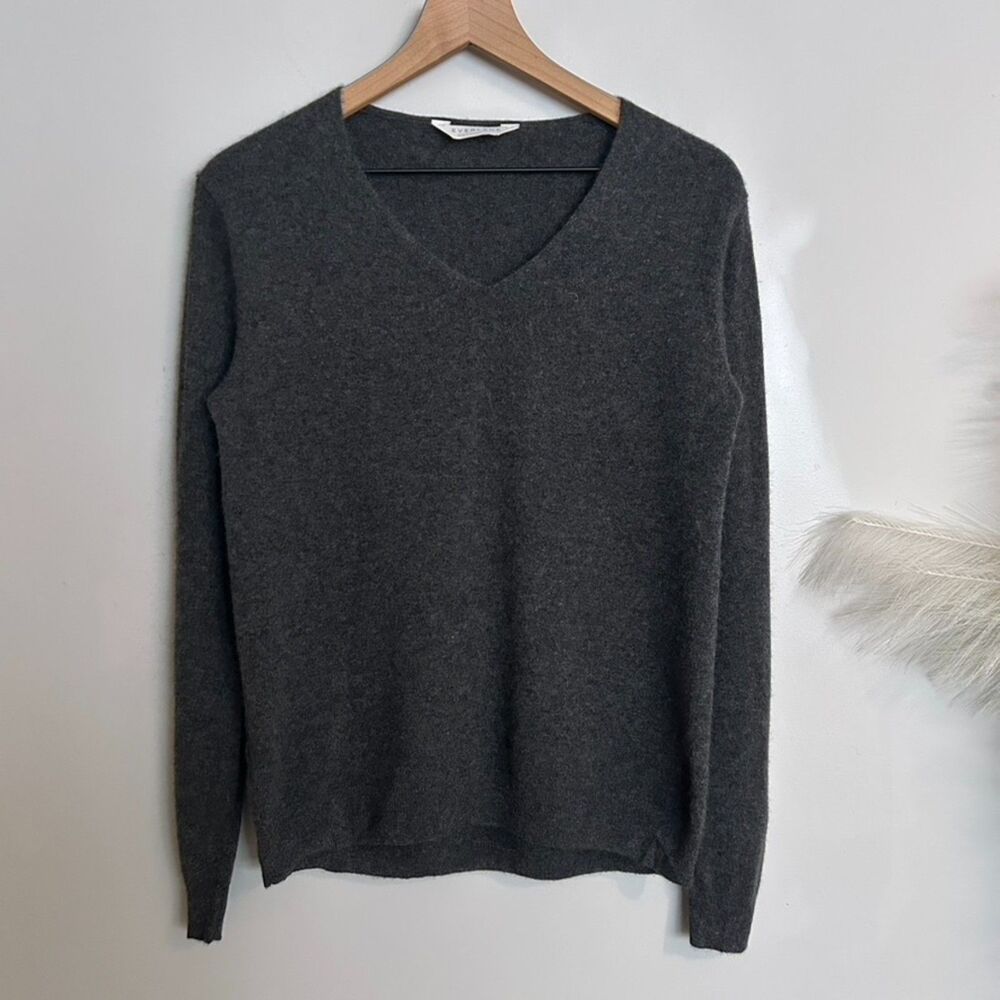 Everlane 100% The Cashmere Grey V-Neck Sweater